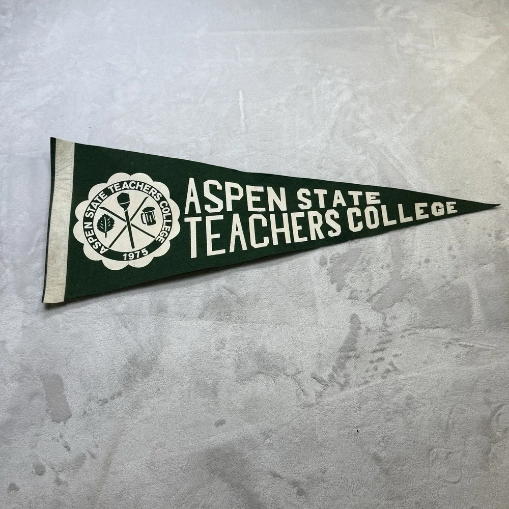 Vintage Aspen State Teachers College Felt Pennant Banner Colorado